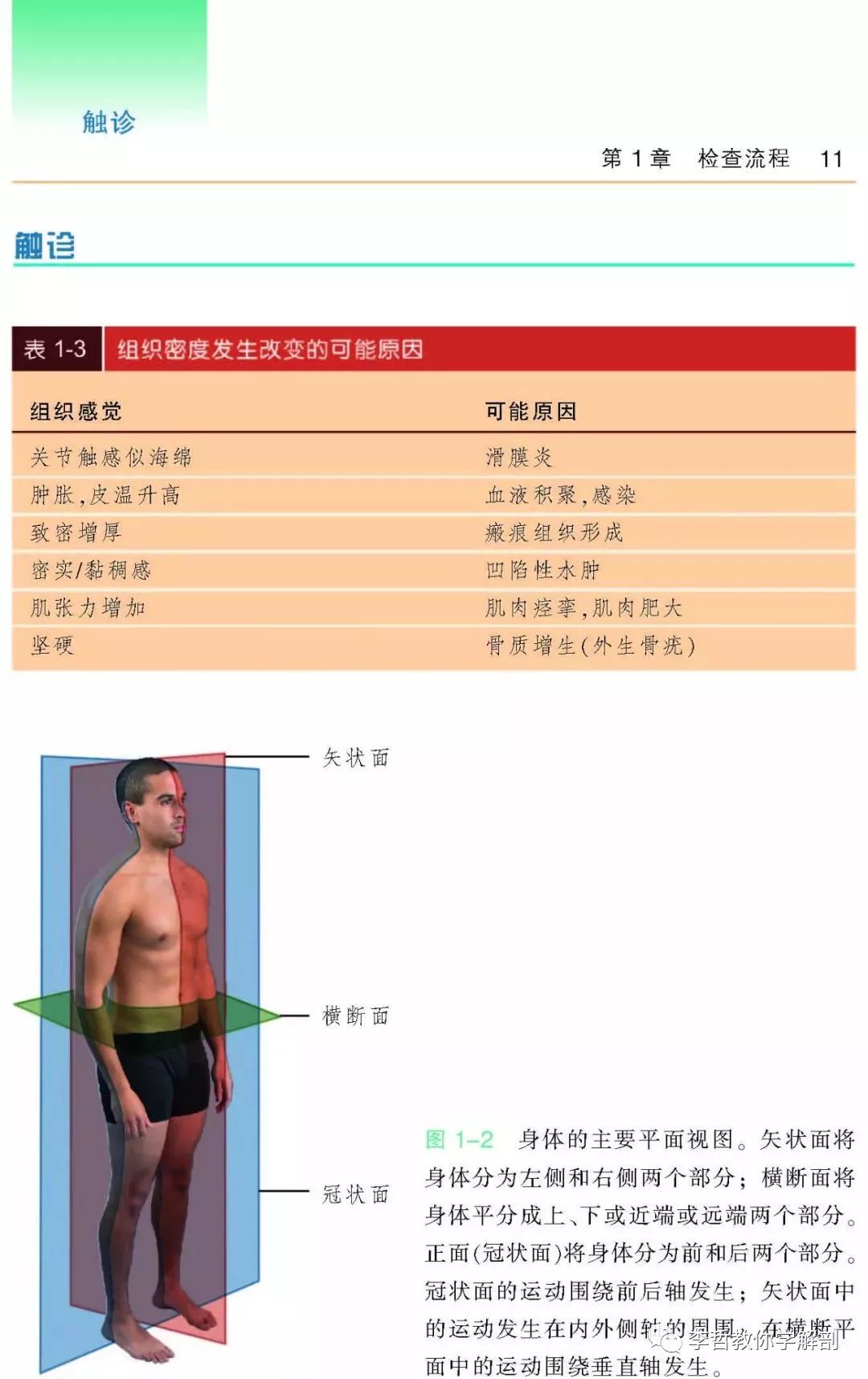 好书推荐｜《骨科与运动损伤检查手册》一本康复医生必须标配的书籍