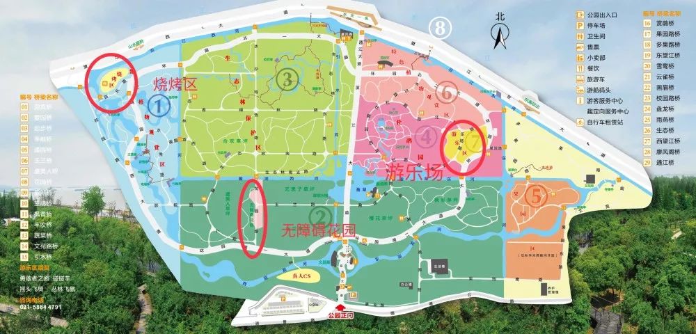 上海赏桂花好去处,江浙沪赏桂哪里去