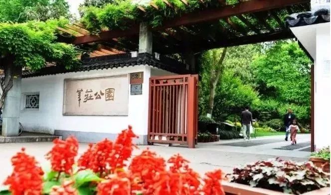 上海赏桂花好去处,江浙沪赏桂哪里去