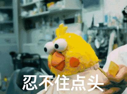 石河子最新发展消息,石河子疫情爆发期