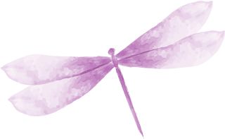 明天会更好—广州十方缘2018年12月活动回顾