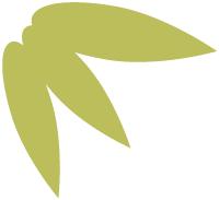 长治火车站7月1号调图时刻表,途经长治的普快列车