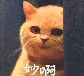 少先队大队辅导员和团支书,少先队辅导员开学第一课