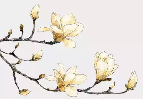 熄灯号电影高清,熄灯号电影外国