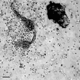推荐冷知识书籍,20个颠覆你认知的法律冷知识