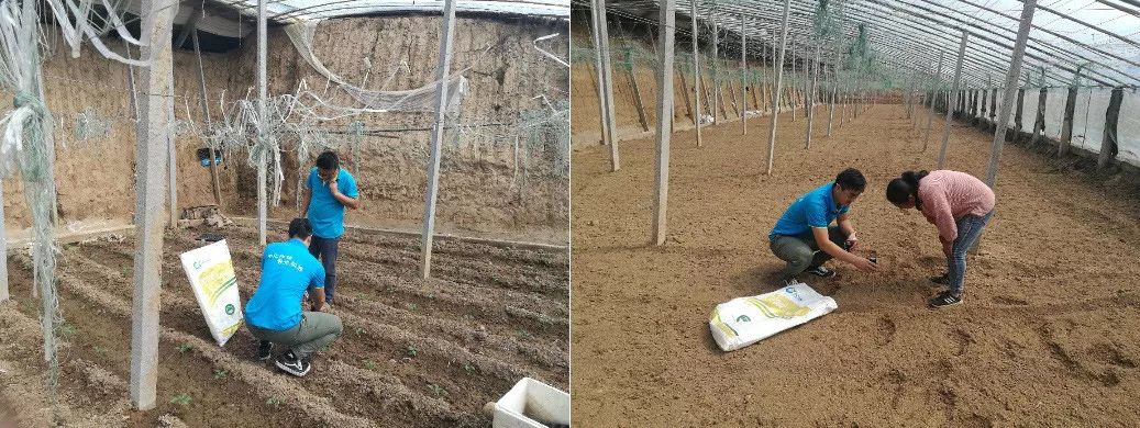 寿光最新发展消息,最近寿光怎么样了