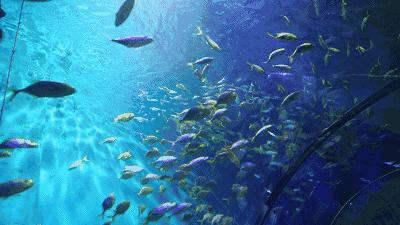 六一儿童节游玩玩些什么,六一玩乐全攻略