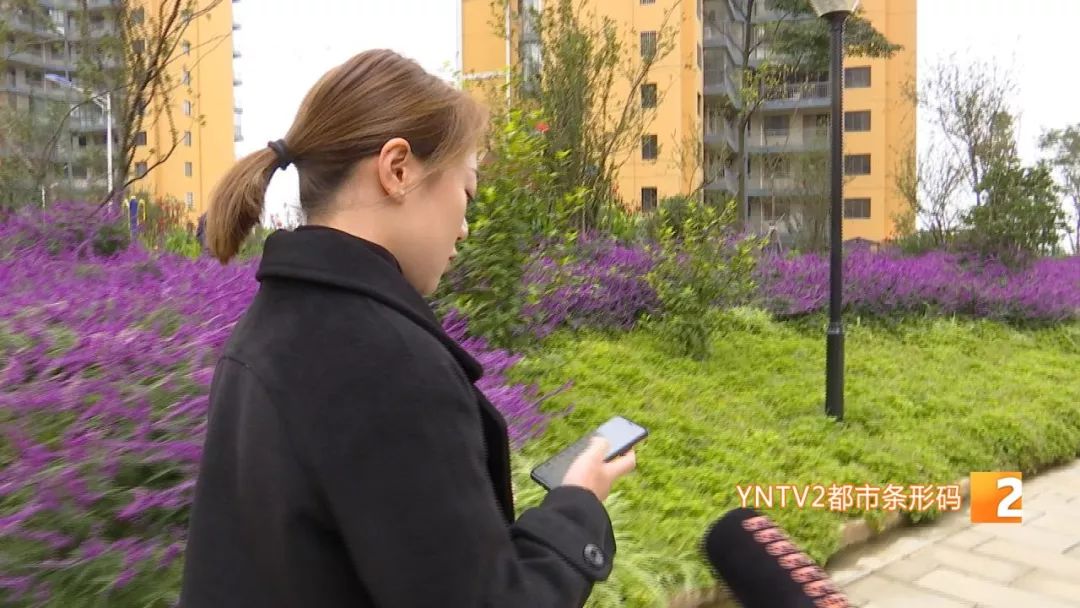 凤凰雅苑最新信息,违规楼盘