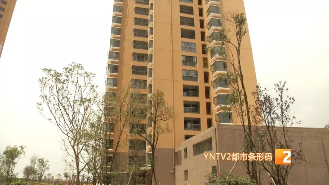 凤凰雅苑最新信息,违规楼盘