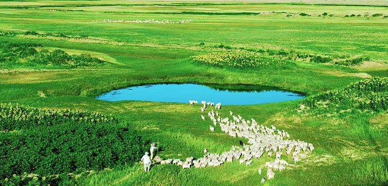 麤字的读音,麤字来源