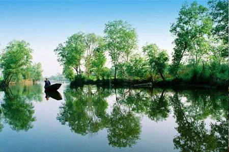 台湾泥鳅养殖成本利润,养殖台湾泥鳅能赚钱吗