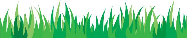 携手绿茵快乐足球希望在我们——第五届“爱绿茵”青岛幼儿足球精英邀请赛胜利闭幕