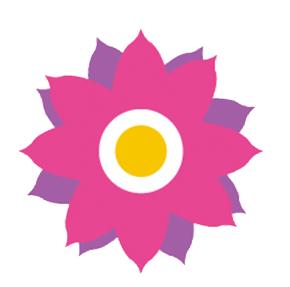 谢家湾小学班级足球联赛,代家湾小学足球队