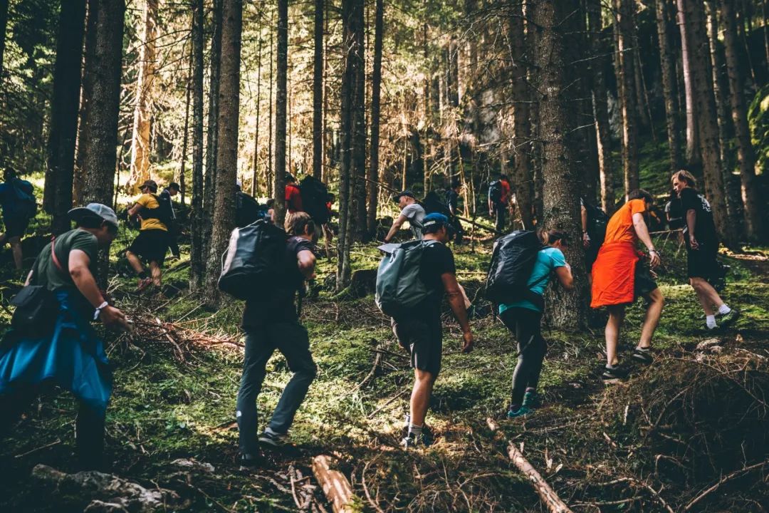 福利｜做不了史诗级锦鲤？那你还可以靠它们来续命！