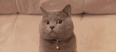 森马集团旗下所有品牌,森马集团旗下主要品牌