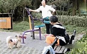 撞头、吃蝌蚪、把果汁注入静脉,奇葩养生总有人信?