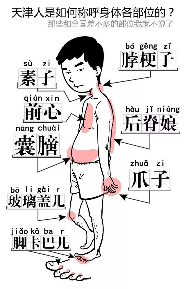 我一听天津人说话就想笑，介四为嘛？