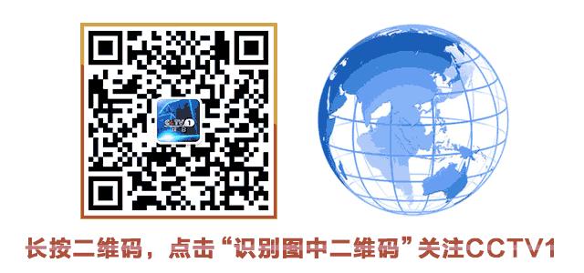 师恩难忘感谢老师佳句,寻访身边人记忆深处的好老师