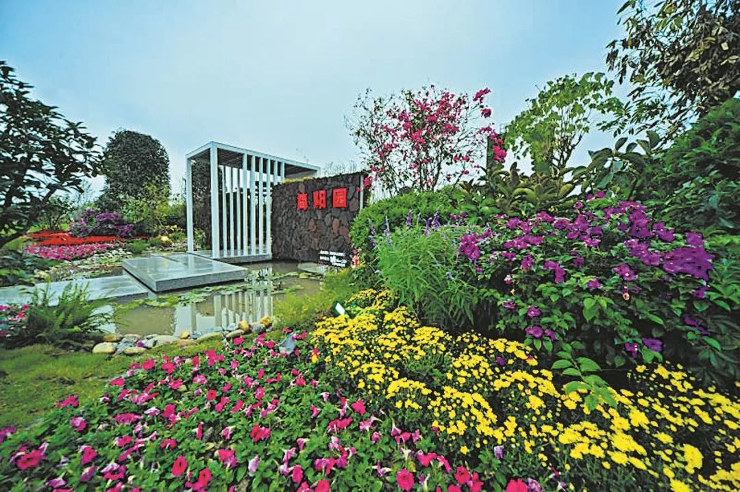 头条|城市颜值增不停!市城管局精细化管理9大亮点出奇效!