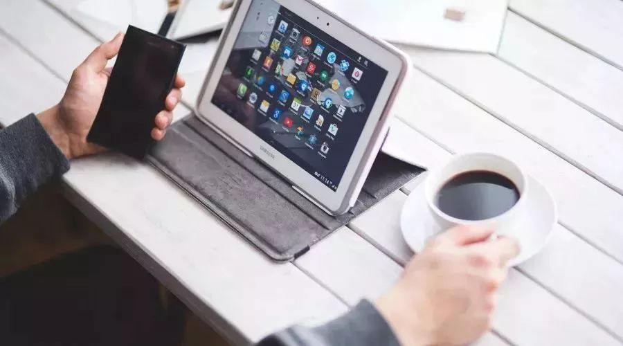 那些年你偷过的菜,还记得曾经偷过的菜么