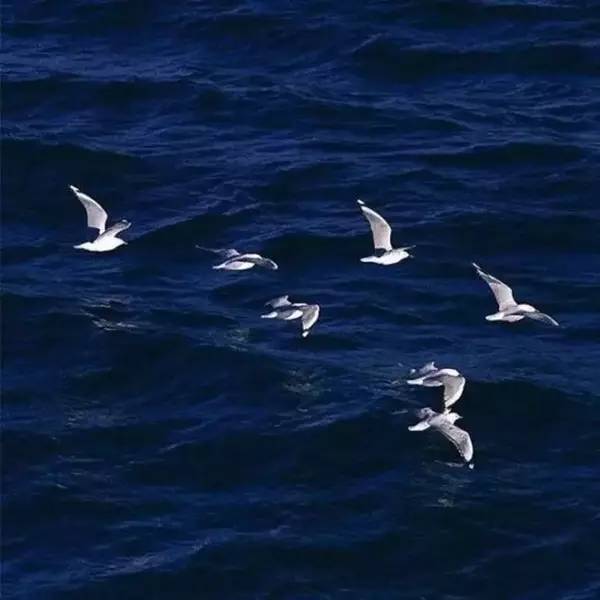 一般人自然就很难看懂西游记,一张图看懂西游记的意境