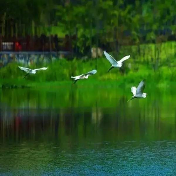 一般人自然就很难看懂西游记,一张图看懂西游记的意境