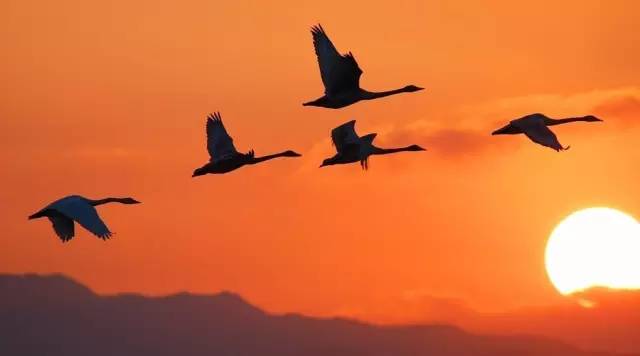 一般人自然就很难看懂西游记,一张图看懂西游记的意境