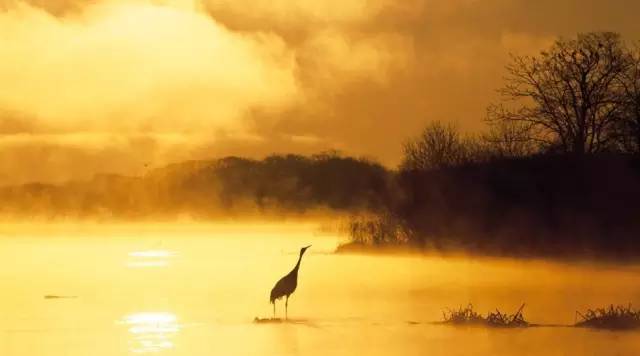 一般人自然就很难看懂西游记,一张图看懂西游记的意境