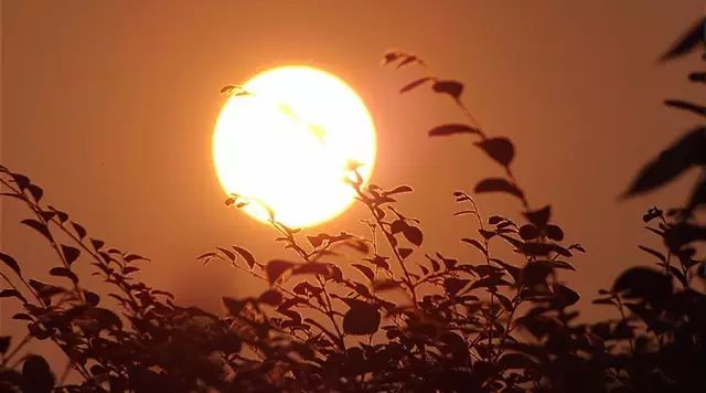 一般人自然就很难看懂西游记,一张图看懂西游记的意境