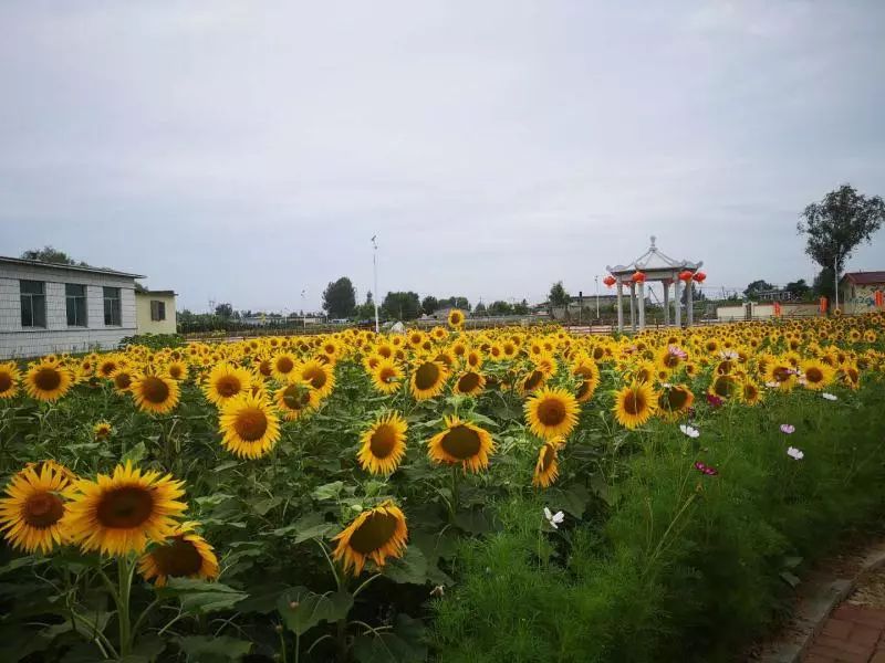 恒大品牌故事,辽宁足球故事完整版