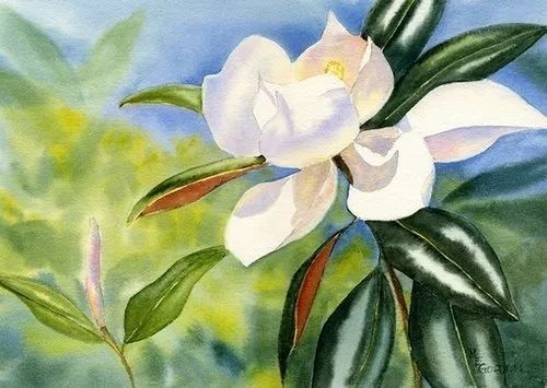 在外漂泊的人最想家的诗,最想家的时候写了一首诗