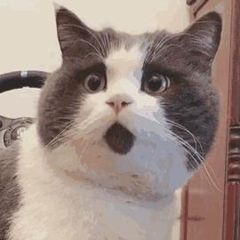 非法经营笑气涉案金额6万判多久,非法卖笑气5人被公诉后获刑