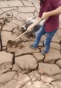 搞笑段子看完你肯定心里美滋滋的,搞笑段子你到底有没有在听我说话