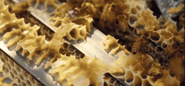 农科院面膜,农科院研发的面膜