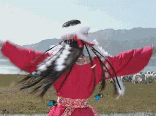 为什么我女朋友的照片头上都是蝴蝶？