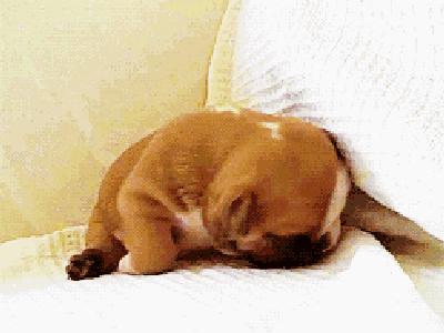 旅行颈椎专用枕,旅行颈椎枕推荐