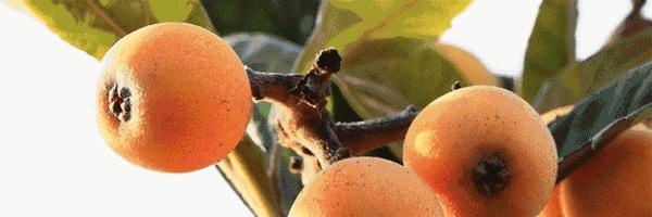 山海闽西南|乐吃、乐游、乐开怀！带上这份攻略，玩转云霄~