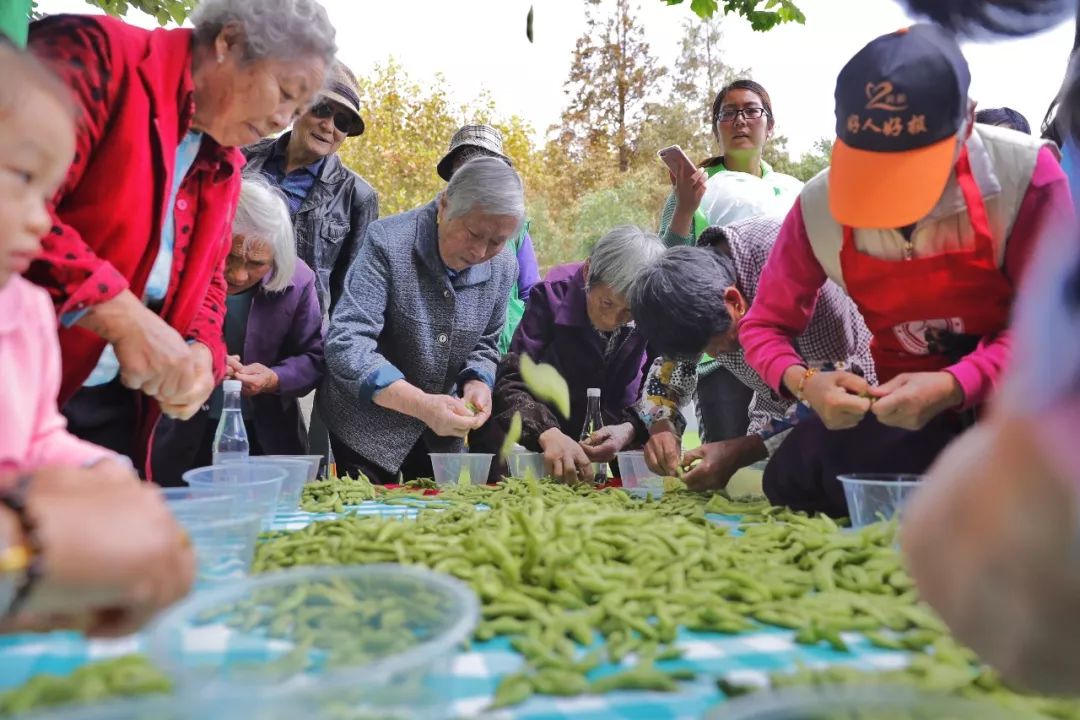 所有人奔向城市，她选择回到浦南