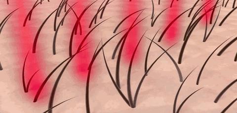 一根头发价值,一根头发值一万