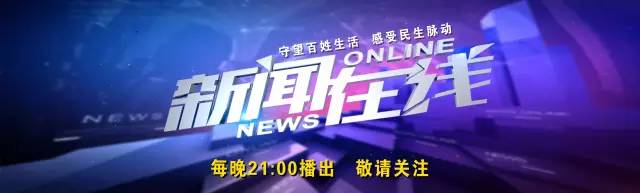 举报315假货会处理吗,315举报的所有食品
