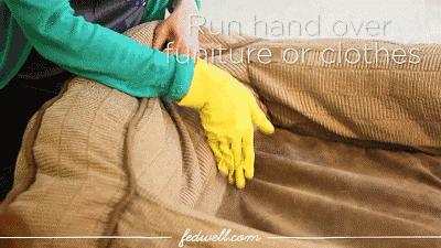 满屋子头发难清理一根皮筋搞定,满屋子都是头发怎么清理