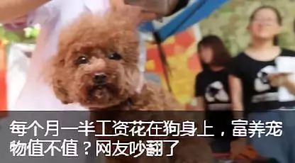 东北话哈哈哈哈怎么说,东北话哈哈哈咋说