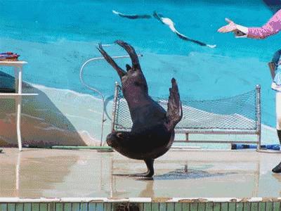 宁都弘铭源生态农庄团购门票,宁都弘铭源生态农庄门票多少