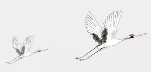 膏方节现场火爆,2020首届中医膏方节