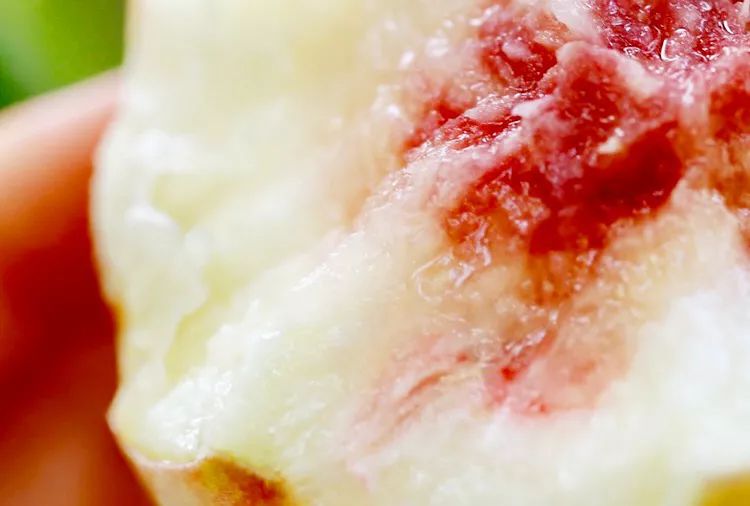 金秋红蜜桃打破吉尼斯世界纪录,金秋红蜜吉尼斯世界纪录