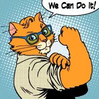 成都电商主要经营哪些,成都电商营业执照一般多久办下来