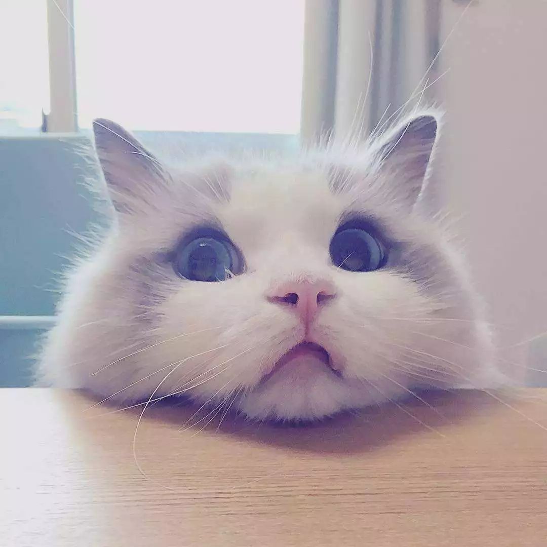 奇怪！杭州两女孩合租一间房得了一样的病！胳膊上都长了像钱币一样的疹子……