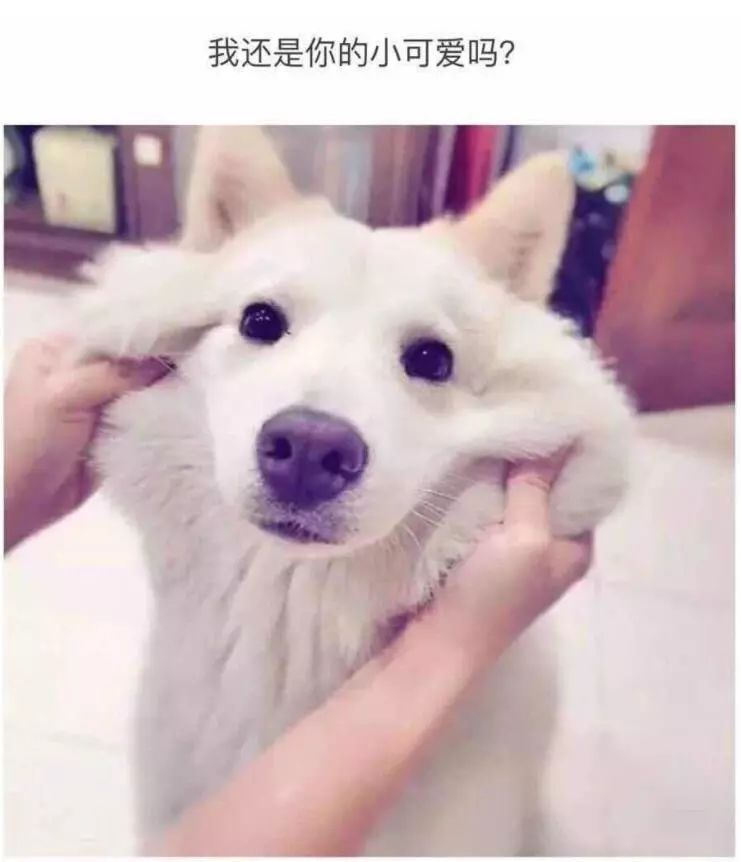 奇怪！杭州两女孩合租一间房得了一样的病！胳膊上都长了像钱币一样的疹子……