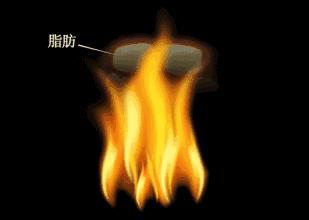 都说撒娇女人最好命是吗,都说撒娇女人最好命真是这样吗