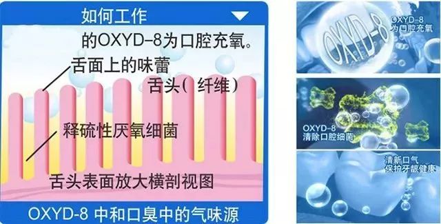 对不起,我的口气熏到您了!丨好物推荐